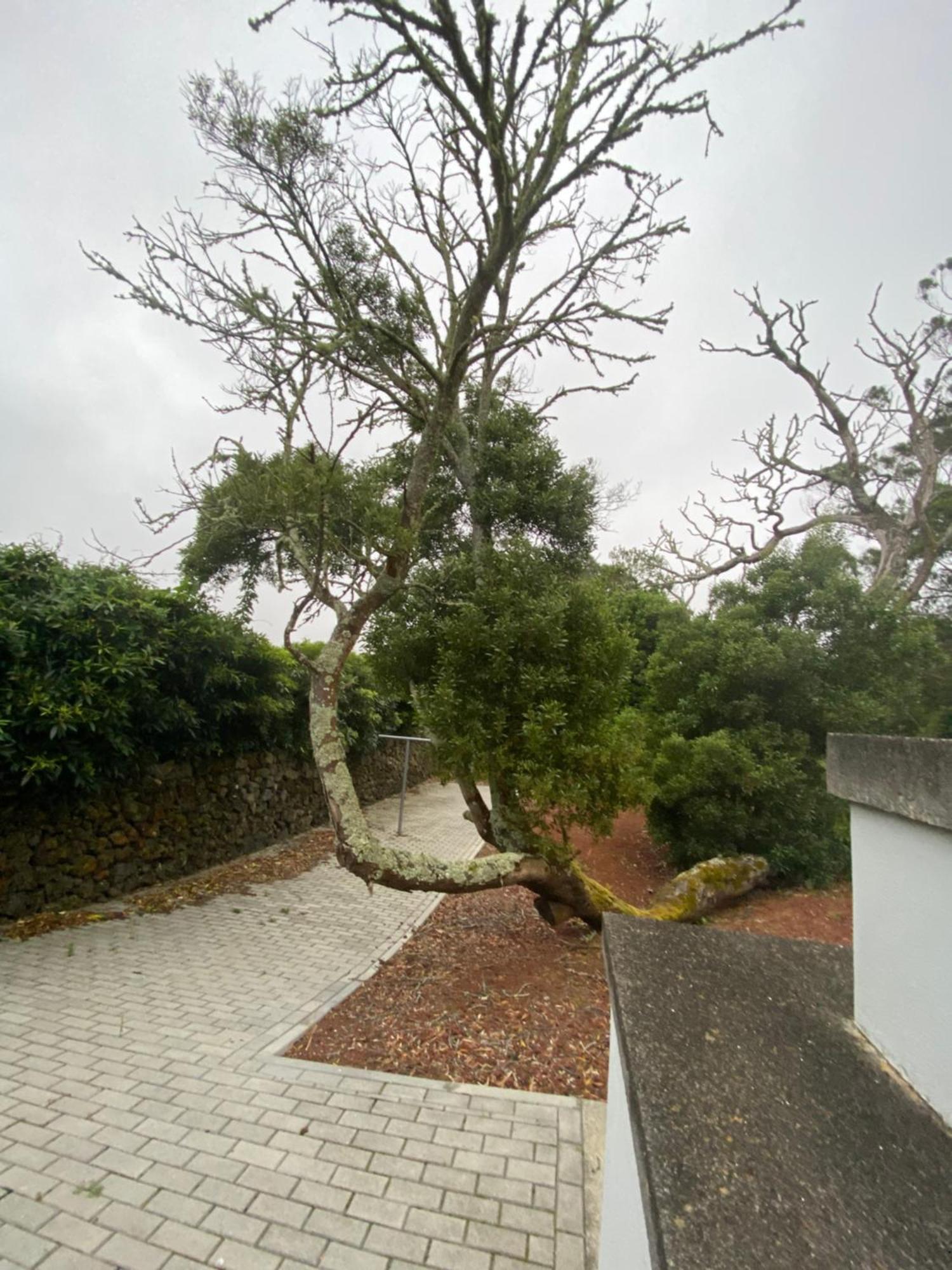 Casa Azul Terceira Island Azores Fonte do Bustardo Dış mekan fotoğraf